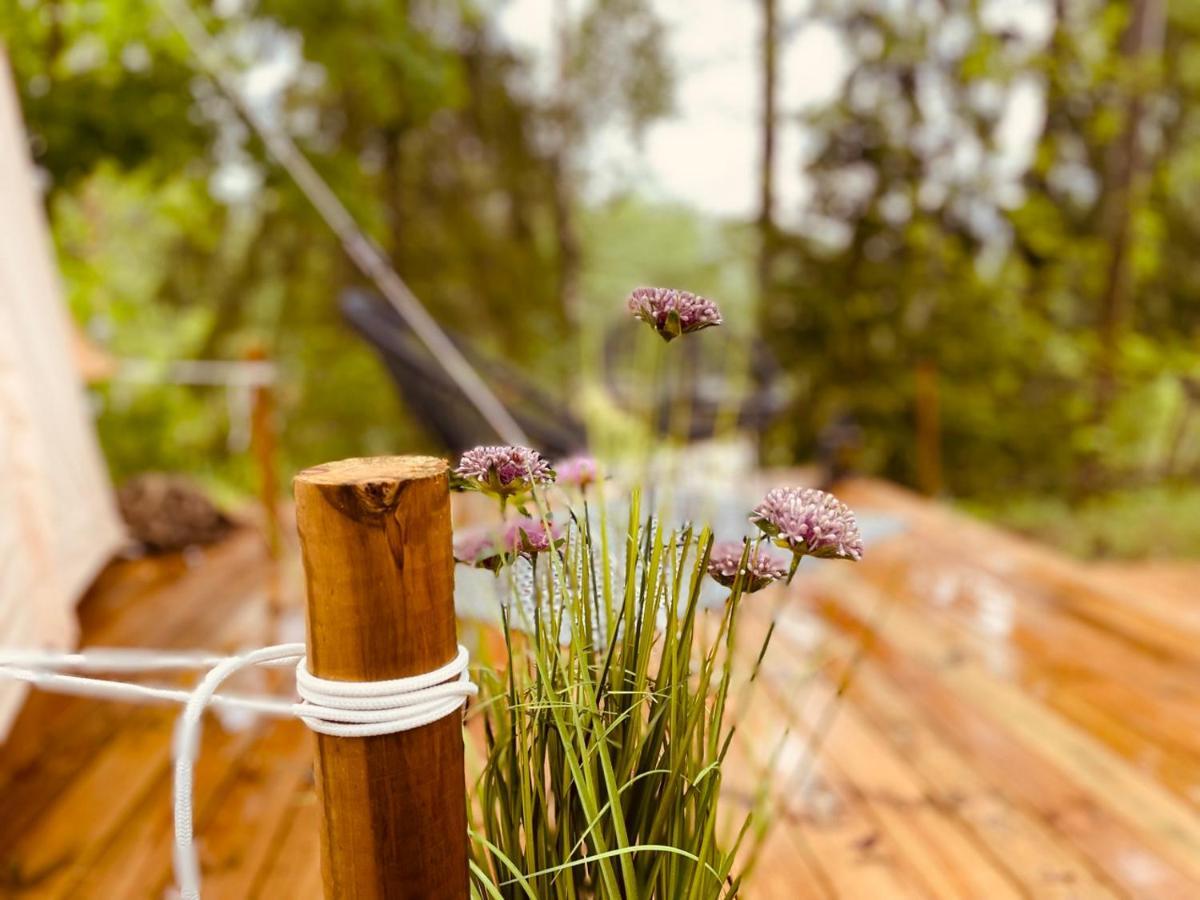 Tent Delhi A B&B In A Luxury Glamping Style Mariefred Exteriér fotografie